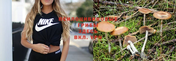 молекула духа Верея