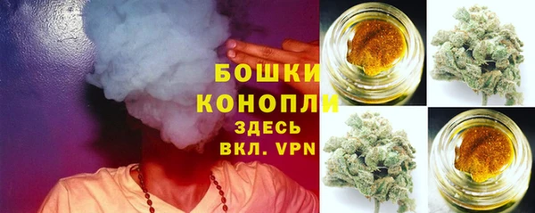 сатива Волоколамск
