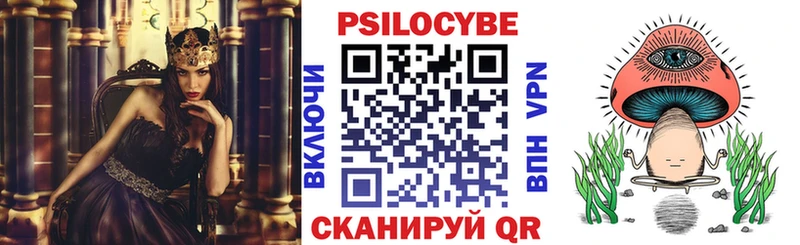 Галлюциногенные грибы Psilocybine cubensis  Купить где  Сафоново 