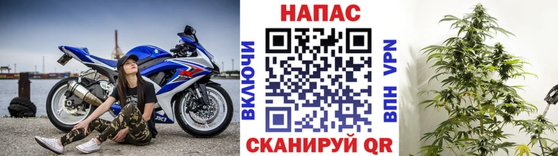 Купить закладки  Сафоново  Бошки Шишки планчик 